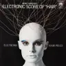 Mort Garson Electronic Hair Synthesizer Schallplatte